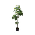 ポピー ウンベラータ GLP-1512 全長180cm・幅85cm 鉢:φ20cm×H18cm
