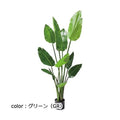 ポピー 120cmオーガスタ GLP-1520 全長120cm 幅60cm 鉢φ15cm×H13cm