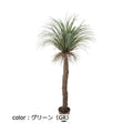 ポピー ユッカロストラータ GLP-1523 全長200cm 幅95cm 鉢φ25cm×H21cm