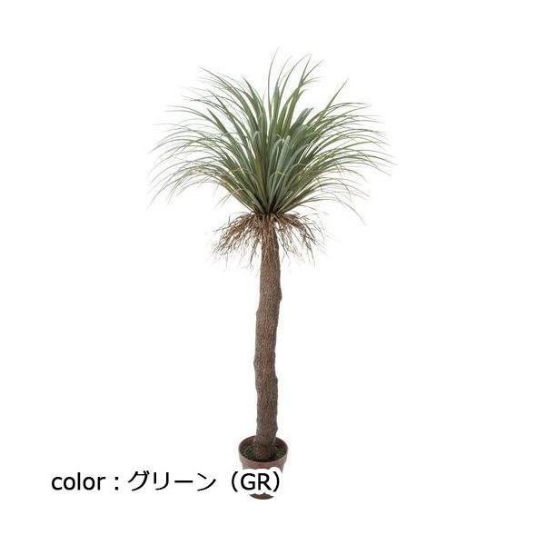 ポピー ユッカロストラータ GLP-1523 全長200cm 幅95cm 鉢φ25cm×H21cm