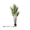 ポピー ユッカツリー GLP-1524 全長195cm・幅70cm 器:φ20cm×H8cm 鉢φ20cm・H18cm