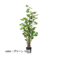 ポピー ポリシャスフリスビー GLP-1530 全長130cm・幅50cm 鉢：φ15cm×H12.5cm
