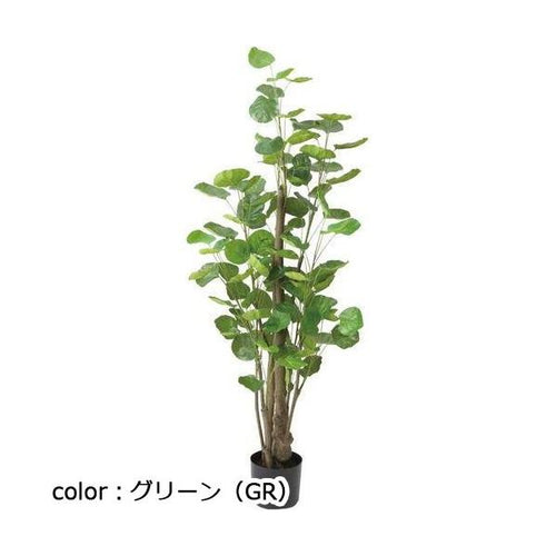 ポピー ポリシャスフリスビー GLP-1530 全長130cm・幅50cm 鉢：φ15cm×H12.5cm
