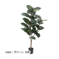 ポピー デコラゴム GLP-1531 全長125cm・幅60cm 鉢：φ12.5cm×11.5cm