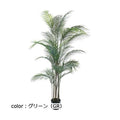 ポピー アレカヤシ GLP-1534 全長150cm・幅80cm ポットφ15cm×H12.5cm