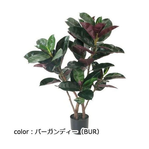 ポピー フィカスバーガンディーポット GLP-1535 全長100cm・幅70cm 鉢：φ15cm×H13cm