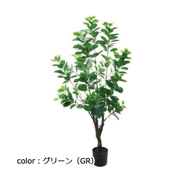 ポピー アポロゴム GLP-1537 全長115cm・幅50cm・ポットφ12.5cm・H11.5cm