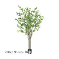 ポピー ドウダン GLP-1538 全長210cm・幅120cm 鉢：φ19.5cm×H17.5cm
