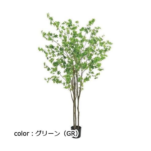 ポピー ドウダン GLP-1538 全長210cm・幅120cm 鉢：φ19.5cm×H17.5cm