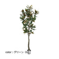 ポピー マグノリアツリー GLP-1541 全長220cm・幅70cm 鉢：φ15.5cm×15cm