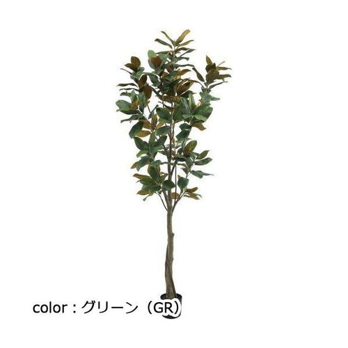 ポピー マグノリアツリー GLP-1541 全長220cm・幅70cm 鉢：φ15.5cm×15cm