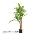 ポピー マッサンポットM GLP-1542 全長120cm・幅70cm鉢：φ12.5cm×12.5cm