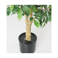 GLP-1547 160cmベンジャミンフィカス/全長160cm 幅85cm 鉢φ14.5cm×H14.7cm/業務用/新品/送料別途見積