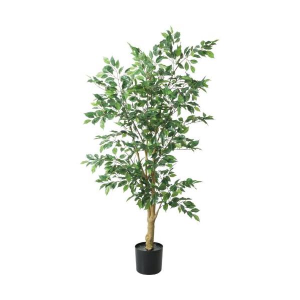 GLP-1547 160cmベンジャミンフィカス/全長160cm 幅85cm 鉢φ14.5cm×H14.7cm/業務用/新品/送料別途見積
