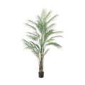 GLP-1550 アレカヤシL/全長185cm 幅80cm 鉢φ15cm×H18cm/業務用/新品/送料別途見積