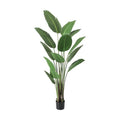 GLP-1552 トラベラーズパーム/全長180cm 幅90cm 鉢φ17cm×H14cm/業務用/新品/送料別途見積