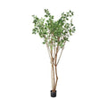 GLP-1554 220cmガジュマルツリー/全長220cm 幅125cm  鉢φ17cm H14cm/業務用/新品/送料別途見積