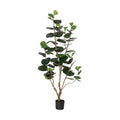 GLP-1555KK シーブレープ/全長170cm 幅75cm 葉 :8.5 ～ 15cm 鉢:H14cm×φ17cm/業務用/新品/送料別途見積