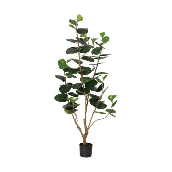 GLP-1555KK シーブレープ/全長170cm 幅75cm 葉 :8.5 ～ 15cm 鉢:H14cm×φ17cm/業務用/新品/送料別途見積