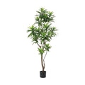 GLP-1556KK ソングオブジャマイカ/全長155cm 幅50cm 葉 :9 ～ 17cm 鉢:H13cm×φ14.5cm/業務用/新品/送料別途見積