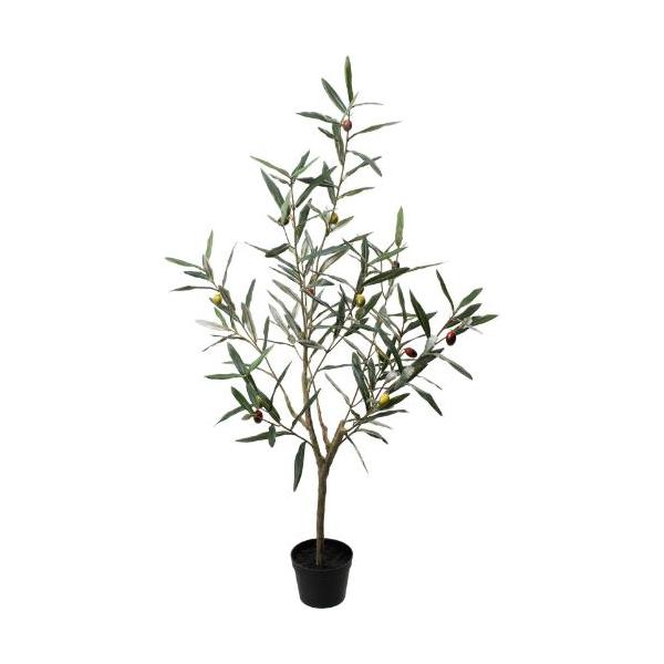 GLP-1559 90cmオリーブ/全長90cm 幅50cm 鉢φ12cm×H9cm/業務用/新品/送料別途見積