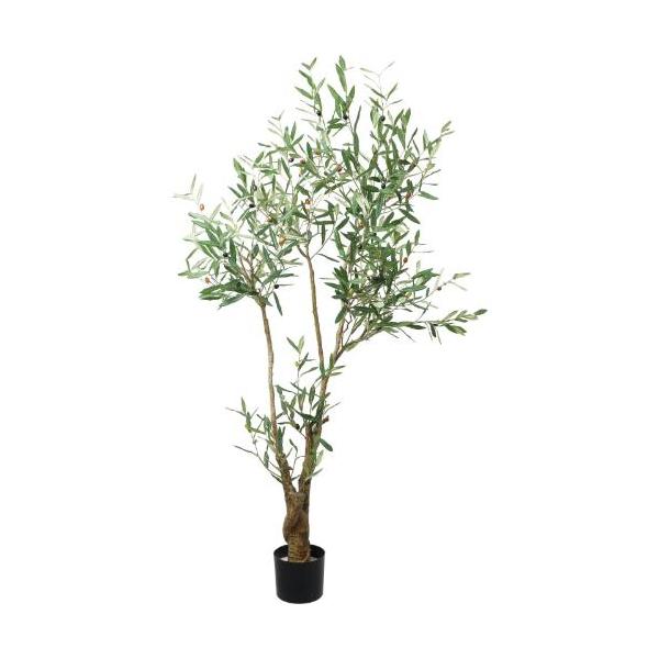 GLP-1560 180cmオリーブ/全長170cm 幅105cm 鉢φ15.5cm×H14.5cm/業務用/新品/送料別途見積