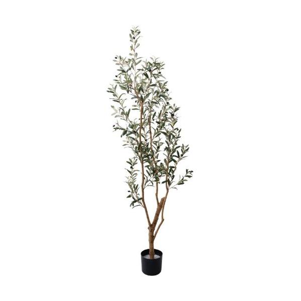 GLP-1561 180cmオリーブ/全長180cm 幅55cm 鉢φ17cm×H14.5cm/業務用/新品/送料別途見積