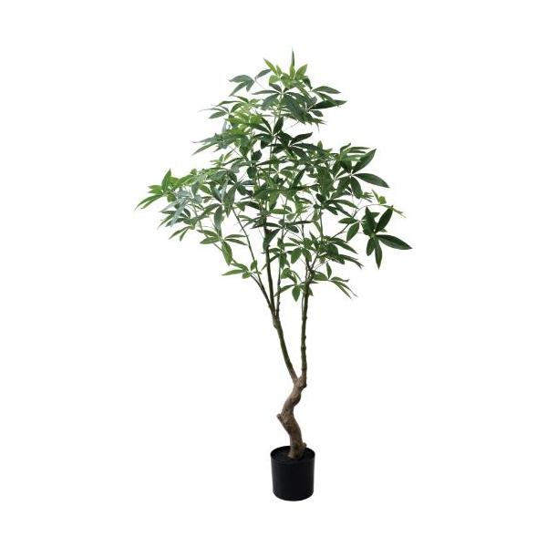 GLP-1566 180cmパキラ/全長180cm 幅90cm 鉢φ19cm×H17.5cm/業務用/新品/送料別途見積