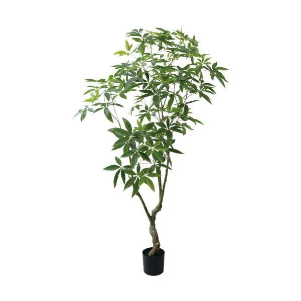 GLP-1567 210cmパキラツリー/全長210cm 幅80cm 鉢φ20cm×H17cm/業務用/新品/送料別途見積