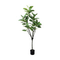 GLP-1569 150cmフィカスアルテシマ/全長150cm 幅75cm 鉢φ14.5cm×H12.5cm/業務用/新品/送料別途見積