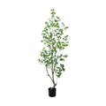 GLP-1570 180cmフィカストライアンギュラス/全長180cm 幅60cm 鉢φ17cm×H15cm/業務用/新品/送料別途見積