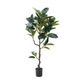 GLP-1573 180cmゴムノキ/全長180cm 幅90cm 鉢φ20cm×H17cm/業務用/新品/送料別途見積