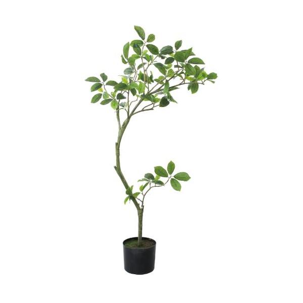 GLP-1574 110cmガジュマル/全長110cm 幅60cm 鉢φ15cm×H12.5cm/業務用/新品/送料別途見積