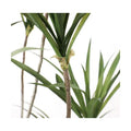GLP-1576 140cmドラセナポット/全長140cm 幅90cm 鉢φ17cm×H14.5cm/業務用/新品/送料別途見積