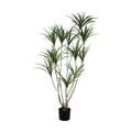 GLP-1576 140cmドラセナポット/全長140cm 幅90cm 鉢φ17cm×H14.5cm/業務用/新品/送料別途見積
