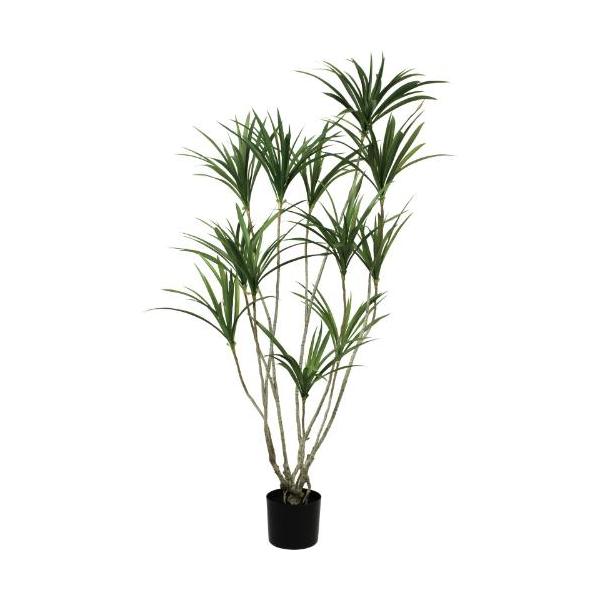 GLP-1576 140cmドラセナポット/全長140cm 幅90cm 鉢φ17cm×H14.5cm/業務用/新品/送料別途見積