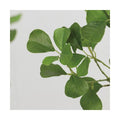 GLP-1578 125cmフィカストライアンギュラス/全長125cm 幅95cm 鉢φ12cm×H11.5cm/業務用/新品/送料別途見積