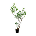 GLP-1578 125cmフィカストライアンギュラス/全長125cm 幅95cm 鉢φ12cm×H11.5cm/業務用/新品/送料別途見積