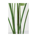 GLP-1579 140cmトラベラーズパーム/全長140cm 幅120cm 鉢φ15cm×H12cm/業務用/新品/送料別途見積