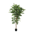 GLP-1581 210cmベンジャミン/全長210cm 幅120cm 鉢φ17cm×H14.5cm/業務用/新品/送料別途見積