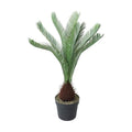 GLP-1582 120cmソテツ/全長120cm 幅77cm 鉢φ25cm×H23cm/業務用/新品/送料別途見積
