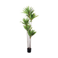 GLP-1584 155cmドラセナコルジリネ/全長155cm 幅60cm 鉢φ15cm×H12cm/業務用/新品/送料別途見積
