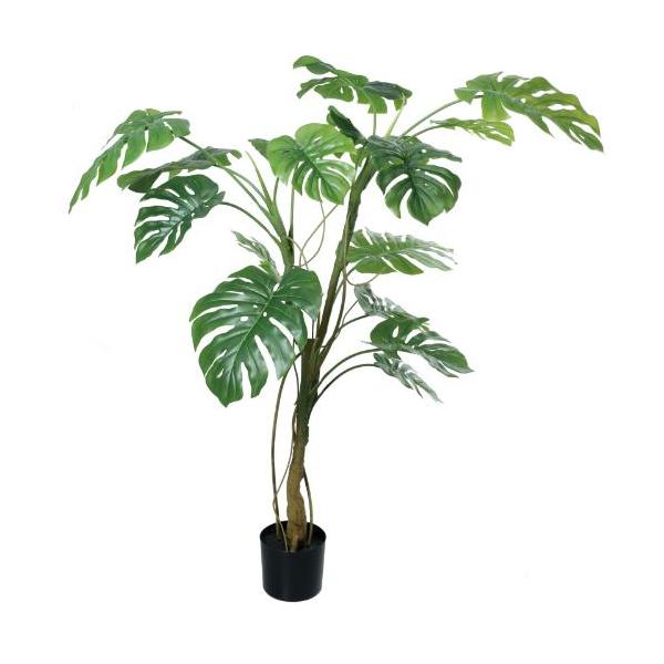 GLP-1585 160cmモンステラ/全長160cm 幅118cm 鉢φ17cm×H14.5cm/業務用/新品/送料別途見積