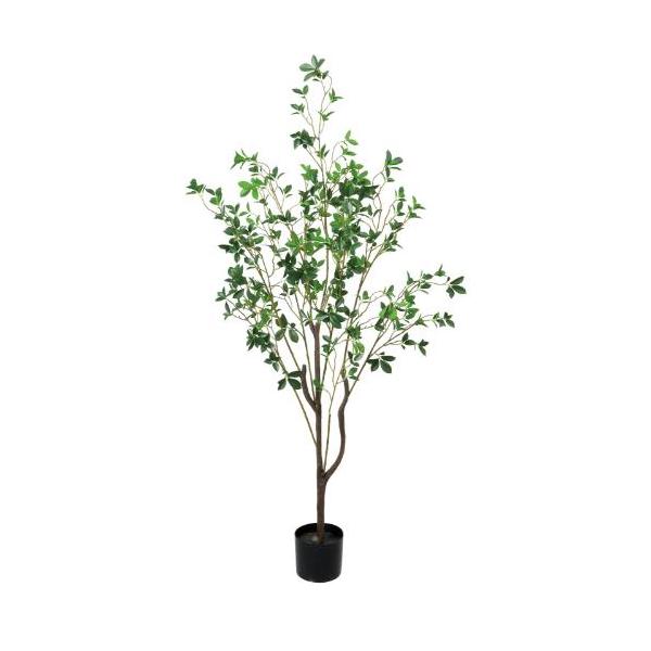GLP-1588 150cmドウダン/全長150cm 幅75cm(鉢φ15cm×12.5cm)/業務用/新品/送料別途見積