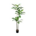 GLP-1590 180cmエレファントアップル/全長180cm 幅70cm(鉢φ17cm×14.5cm)/業務用/新品/送料別途見積