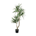 GLP-1592 150cmクラスタードラセナ/全長150cm 幅90cm(鉢φ17cm×14.5cm)/業務用/新品/送料別途見積