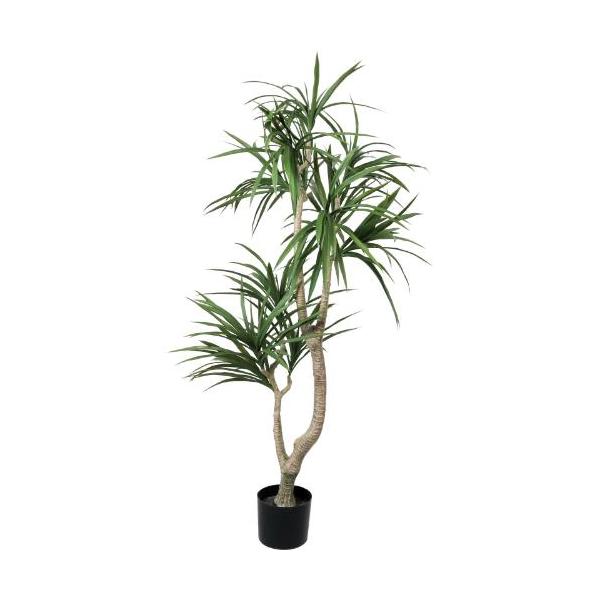 GLP-1592 150cmクラスタードラセナ/全長150cm 幅90cm(鉢φ17cm×14.5cm)/業務用/新品/送料別途見積