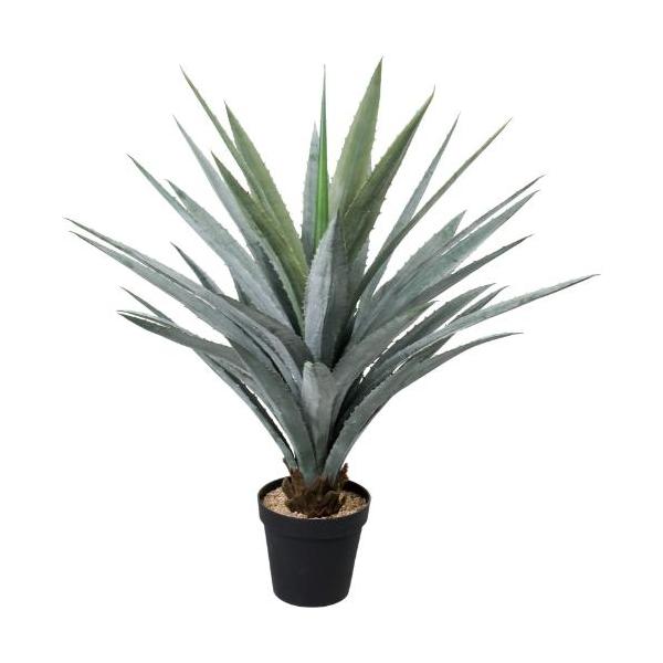 GLP-1597 115cmアガベ/全長110cm 幅110cm(鉢φ23.5cm×20.5cm)/業務用/新品/送料別途見積