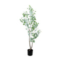 GLP-1598 170cmユーカリ/全長170cm 幅85cm(鉢φ18.5cm×17.5cm)/業務用/新品/送料別途見積