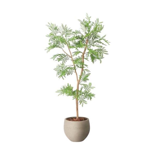 GLPA-083 エバーフレッシュ1.0m/全長100cm 幅50cm 奥行50cm  鉢φ25cm×H21cm/業務用/新品/送料別途見積